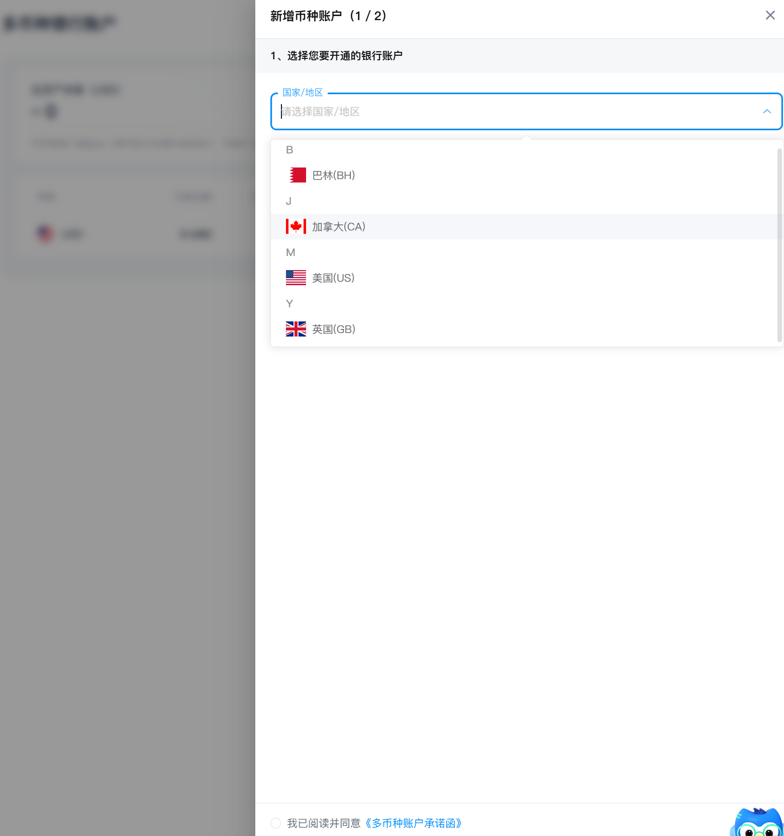 Pallink Add new account interface